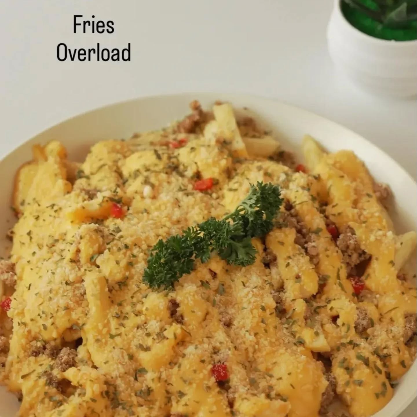 Fries Overload